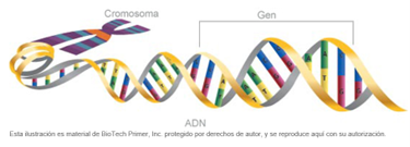 tratamientos biotecnológicos